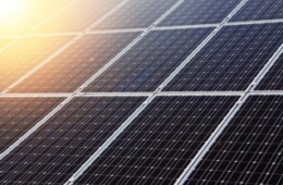 Renewable Energy Consulting